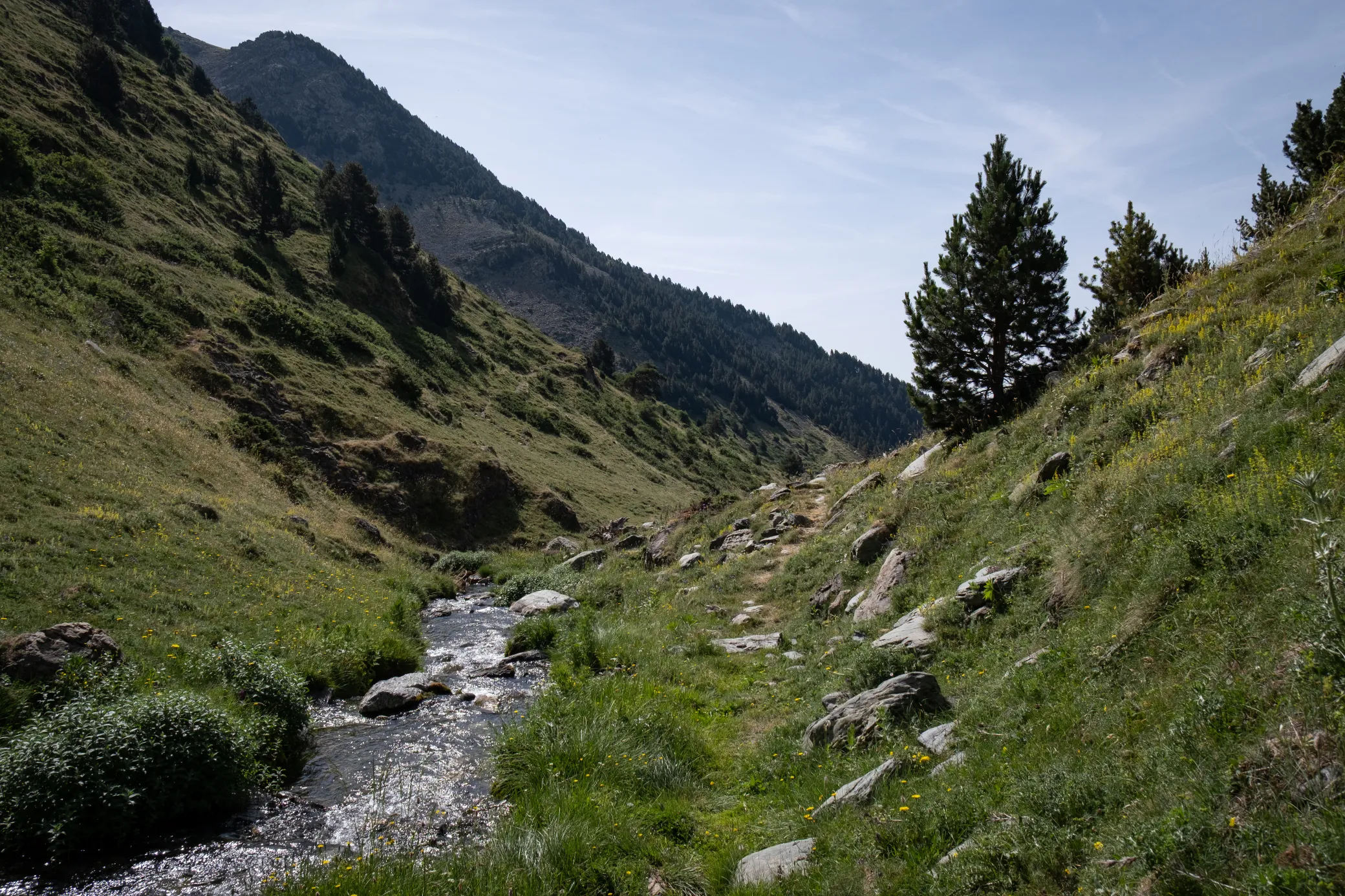 image 1 of Puig de Dòrria